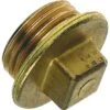 Draadfitting Plug Met Vierkant 1" Buitendraad